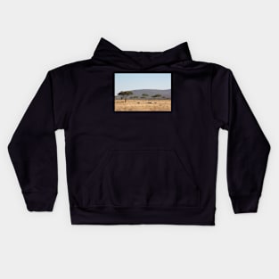 Plains Zebra, in the landscape, Serengeti National Park, Tanzania Kids Hoodie